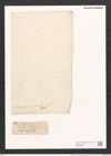 Nitzschia thermalis var. minor Hilse (de-Toni-Nr.: Genus 47, Species 2044) Zeichnungen Sammlung Grunow (NHMW-BOT-W0371856)